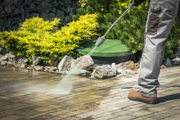 Best House Exterior Washing  in Forest City, IA