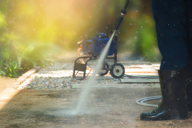 Best Rust Removal  in Forest City, IA